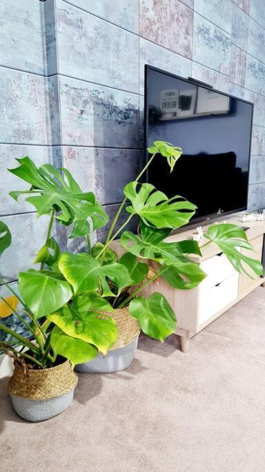 Stylish 2 Bedroom Apartment / Free Gated Parking グラスゴー エクステリア 写真